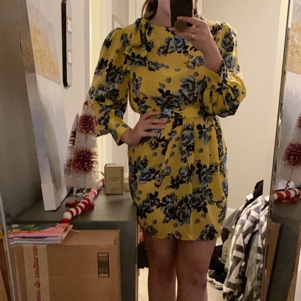 Zara Size XL High Neck Dress
